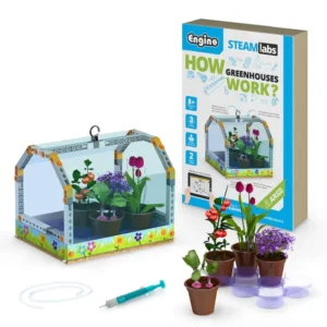 How Greenhouses Work?